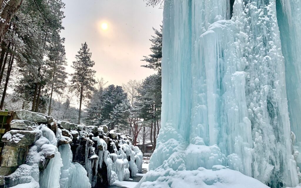 南怡島 入場チケット(江原道)の料金と予約方法 南怡島 入場チケット(江原道)の料金と予約方法