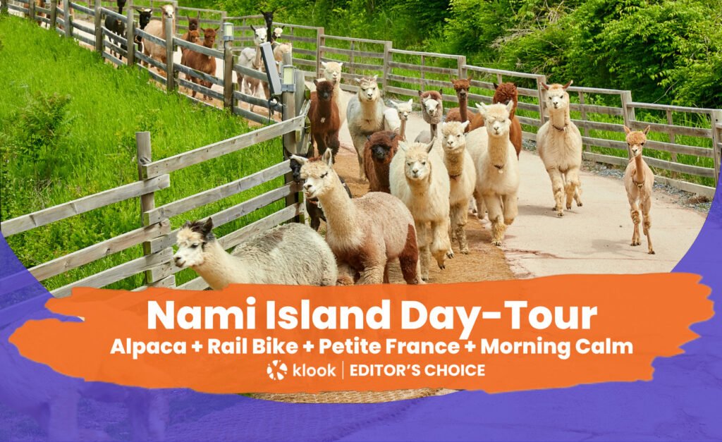 南怡島 / アルパカワールド / レールバイク / プチフランス / Morning Calm Arboretum 1日ツアー攻略|料金・予約方法・待ち時間 南怡島 / アルパカワールド / レールバイク / プチフランス / Morning Calm Arboretum 1日ツアー攻略|料金・予約方法・待ち時間