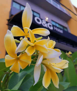 O&G ホテルパリトブンター宿泊記｜パリトブンターから近い？部屋やアメニティを徹底検証